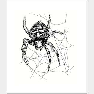 Caught in a Web Posters and Art